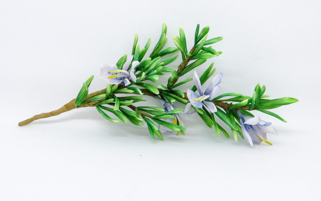 COME CREARE UN FIORE DI ROSMARINO