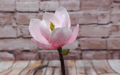 MAGNOLIA IN WAFER PAPER