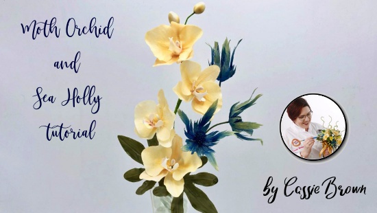 L’ORCHIDEA E L’ERINGIO CAMPESTRE