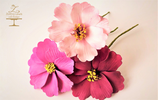FIORE DI COSMOS