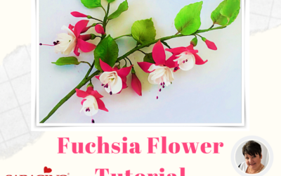 Fiore di Fuchsia