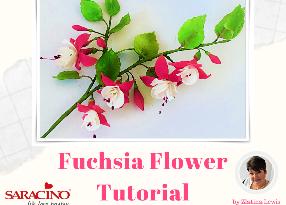 Fiore di Fuchsia