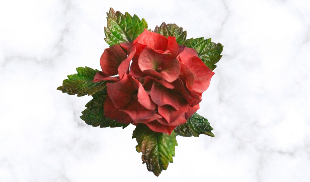 FIORE DI ORTENSIA