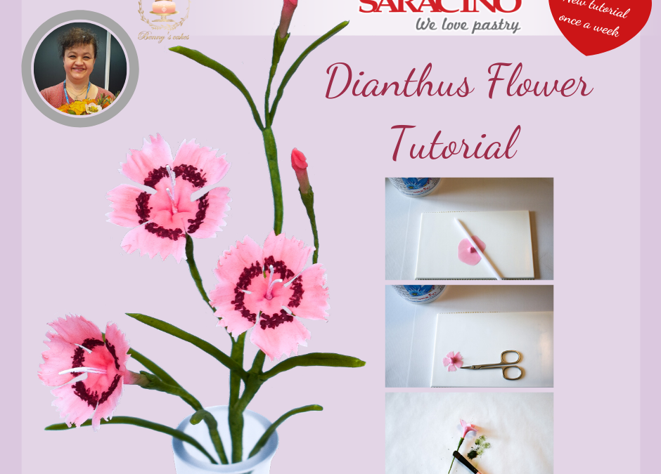 TUTORIAL GAROFANO