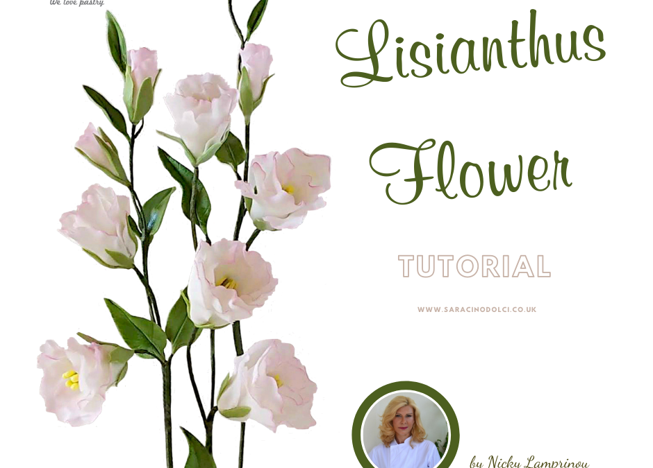 FIORE DI LISIANTO