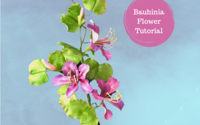 TUTORIAL ALBERO ORCHIDEA