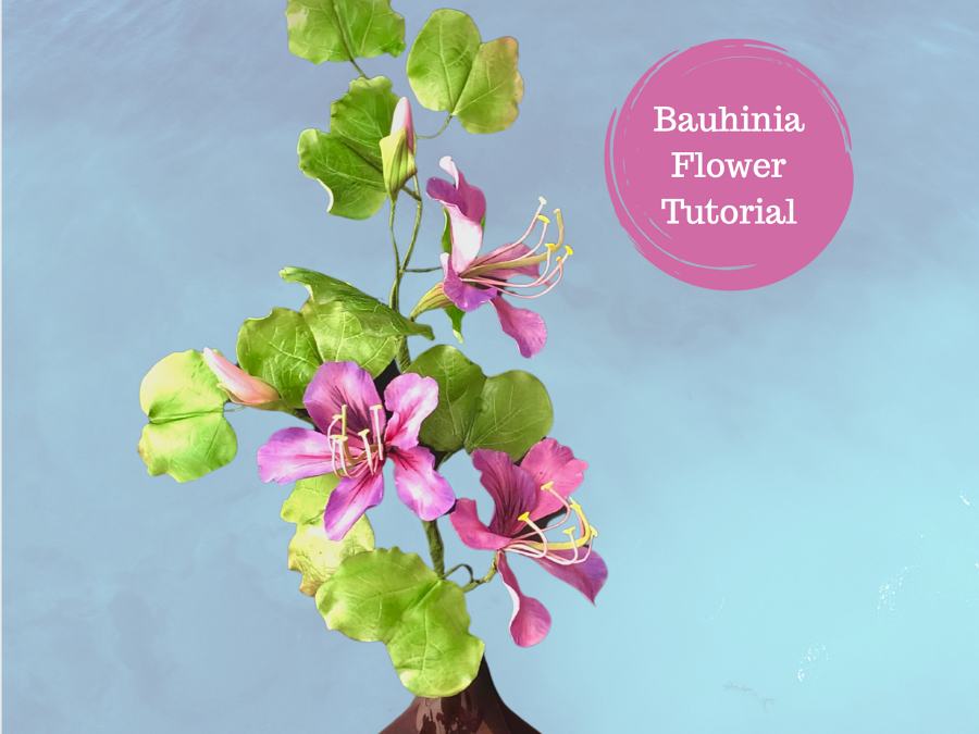 TUTORIAL ALBERO ORCHIDEA
