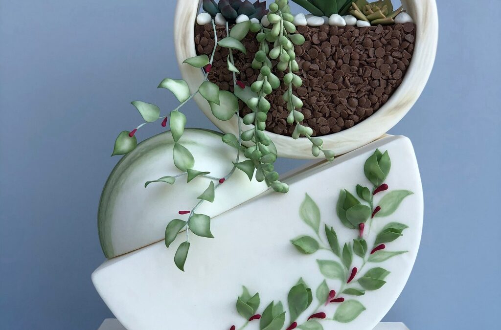 TORTA DI PIANTE GRASSE