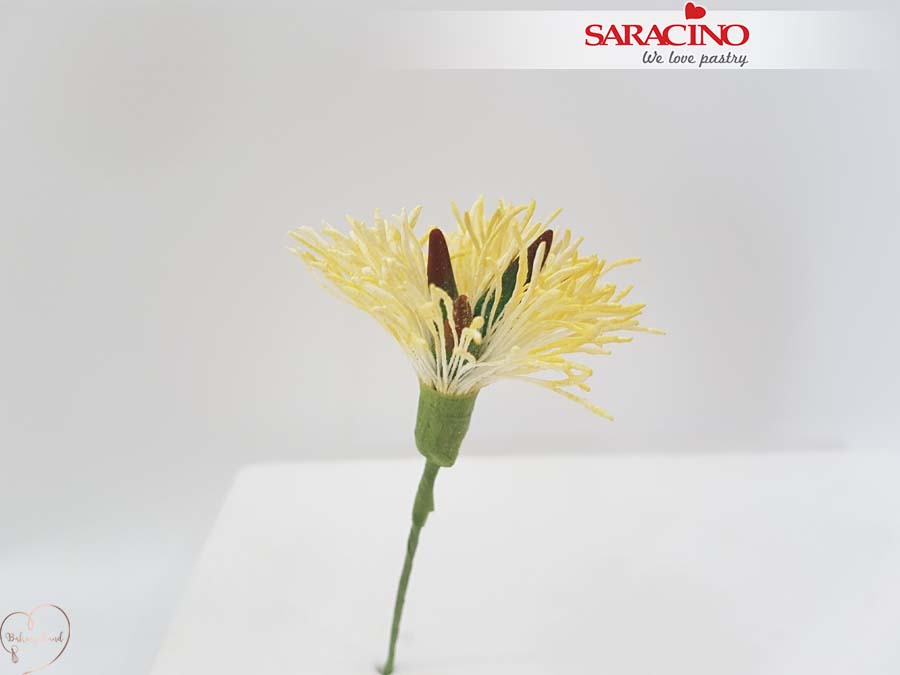 photo 044